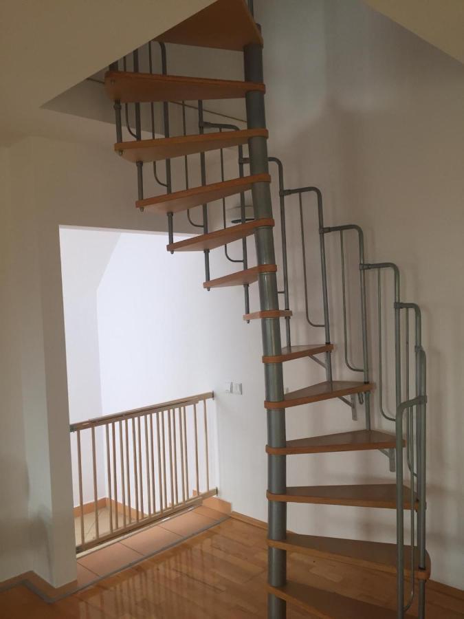 Casa Flavia Apartment Sancraiu de Mures Ngoại thất bức ảnh
